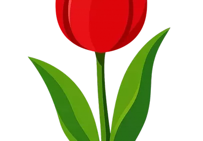 Vibrant Red Tulip: Minimalist Spring Botanical Illustration