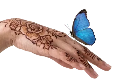 Enchanting Henna & Butterfly: A Dance of Beauty on Skin