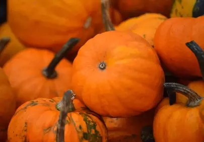Vibrant Autumn Harvest: Fresh Organic Pumpkins Pile