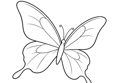 Elegant Minimalist Butterfly Line Art Design
