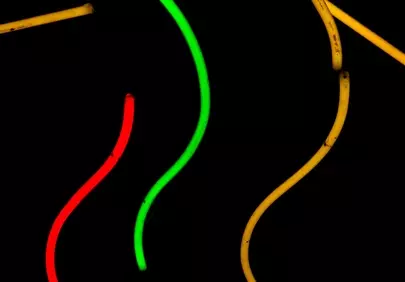 Vibrant Neon Tubes: Dynamic Colorful Lights on Black