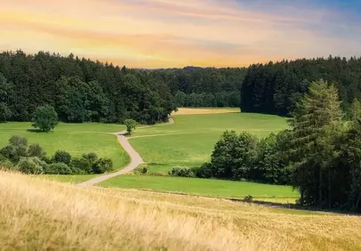 Golden Hour Glow: Serene Meadow Path at Sunset