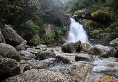 Cascading Serenity: Ladies Bath Falls Oasis
