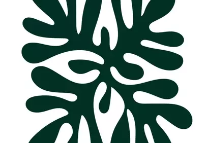 Vibrant Bohemian Botanical: Abstract Organic Leaf Art