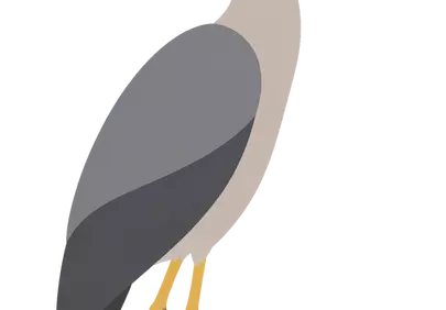 Striking Yellow-Crowned Night Heron Illustration: A Hunter's Silhouette