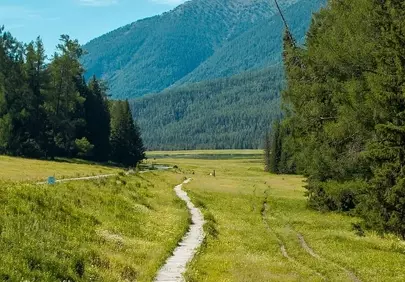 Enchanting Mountain Trail: Child's Summer Adventure