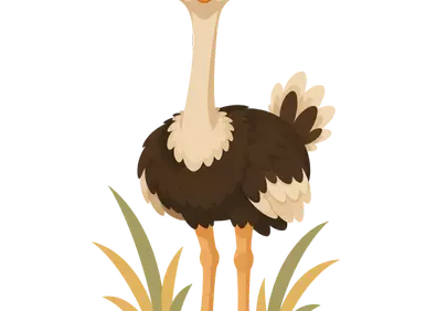 Charming Cartoon Ostrich: Adorable African Wildlife Portrait
