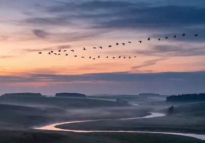 Breathtaking Sunset: Birds Soaring Over Misty River Landscape