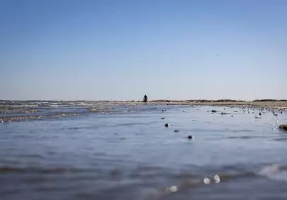 Serene Shore: Solitary Stroll Amidst Nature's Beauty