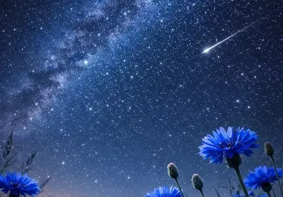 Enchanting Night Sky: Milky Way Above Blue Flowers