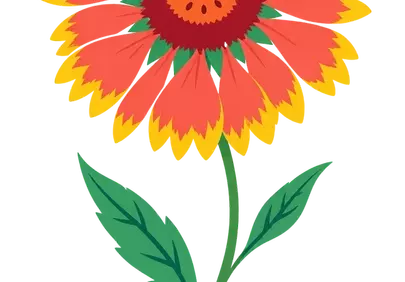 Vibrant Blanket Flower Illustration: A Summer Garden Gem