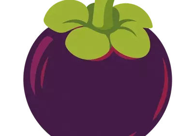 Vibrant Mangosteen: Exotic Purple Fruit Illustration