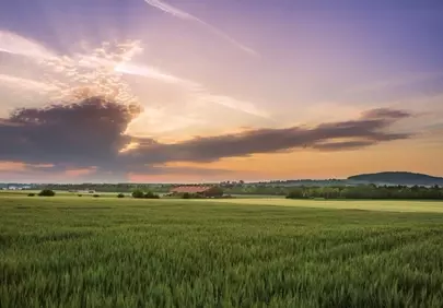 Breathtaking Sunset over Tranquil Agricultural Fields