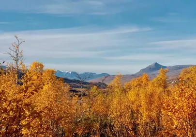 Golden Autumn Mountains: Breathtaking Fall Foliage Landscape