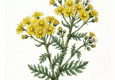 Vibrant Watercolor Wildflowers: Botanical Illustration