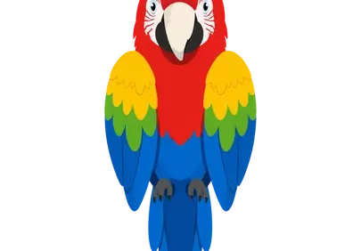 Vibrant Macaw: A Colorful Tropical Bird Illustration
