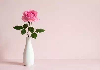 Minimalist Pink Rose in Vase: Elegant and Romantic Design