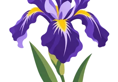 Vibrant Stylized Purple Iris: Elegant Spring Bloom