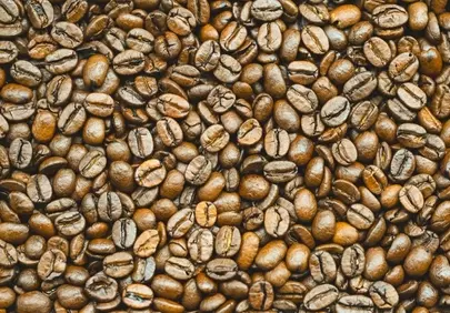 Rich Aromatic Roast: Close-up of Premium Coffee Beans