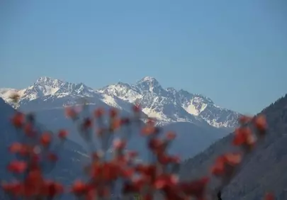 Majestic Snow-Capped Peaks with Autumnal Charm