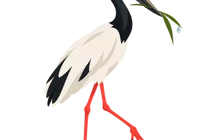Graceful Stork: Waterbird's Gentle Stroll with Greenery
