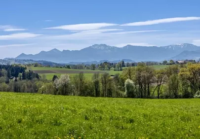 Breathtaking Alpine Panorama: Serene Spring Meadows & Majestic Peaks