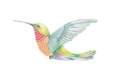 Vibrant Pastel Hummingbird: A Magical Nature Illustration