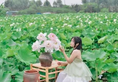 Serene Blossom: Asian Woman Amidst a Vibrant Lotus Field