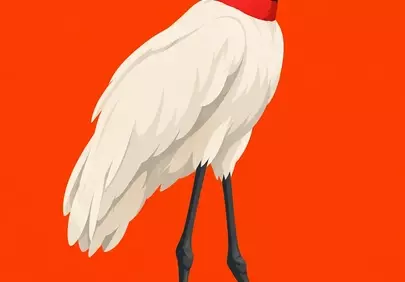Vibrant Jabiru Illustration: Striking Exotic Bird Art