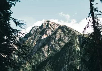 Majestic Peaks: A Glimpse Through Verdant Pines