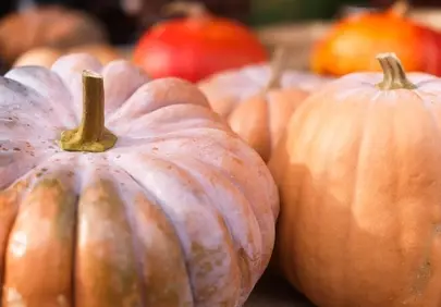 Vibrant Autumn Harvest: Organic Pumpkins at the Market