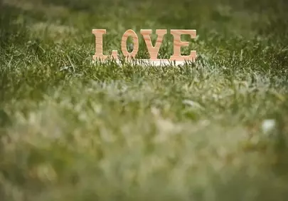 Inspiring Wooden Love: A Symbol of Affection on Green Grass