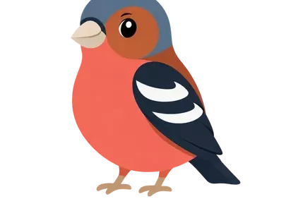 Charming Chaffinch Cartoon: A Cute Garden Bird Illustration