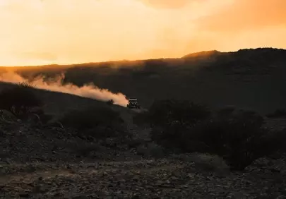 Adrenaline Rush: Desert Rally at Sunset