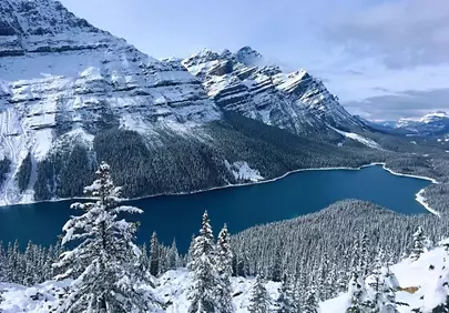 Breathtaking Winter Wonderland: Peyto Lake's Icy Embrace