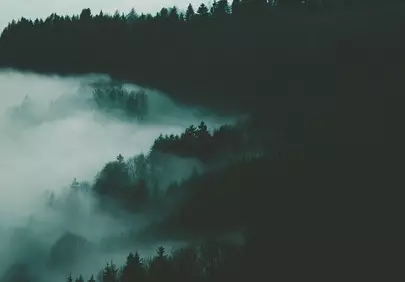 Mysterious Misty Forest: Autumn Mountain Landscape with Fog