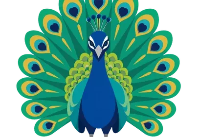 Vibrant Peacock Cartoon: Elegant Wildlife Illustration