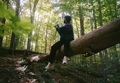 Enigmatic Forest Wanderer: Man Reflects on Fallen Tree