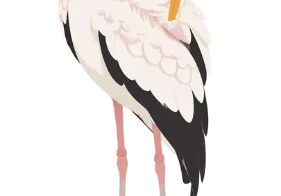 Elegant White Stork: A Striking Digital Illustration of Wetland Wildlife
