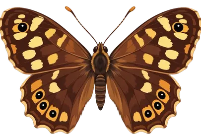 Stunning Brown Butterfly: Symmetrical Wings & Natural Eyespots