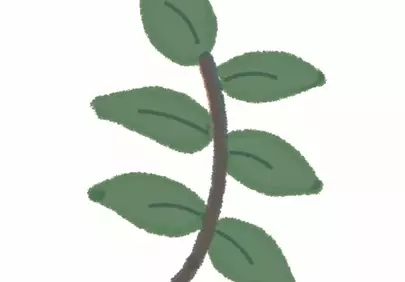 Vibrant Green Leaf Branch Illustration for Nature-Inspired Designs