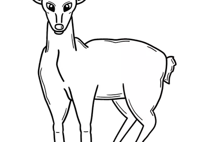 Striking Huemul Illustration: Chilean National Deer