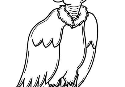 Striking Condor Illustration: Chilean Culture & Heritage