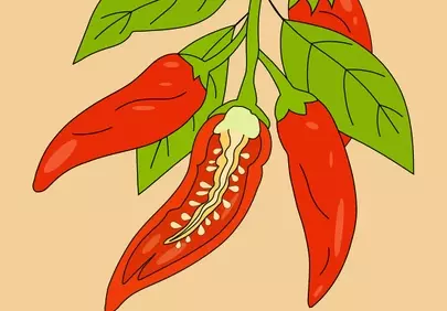 Vibrant Chili Peppers: Hot & Spicy Illustration