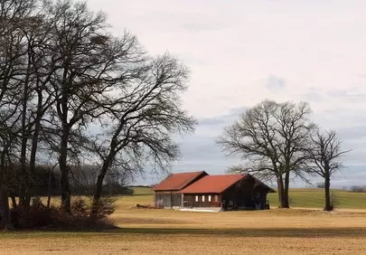 Serene Bavarian Winter Barn Amidst Bare Trees