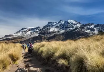 Breathtaking Mountain Trek: Snowy Peaks and Golden Meadows