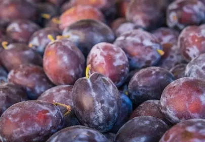 Vibrant Harvest: Fresh Purple Plums at Market