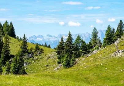 Breathtaking Alpine Panorama: Lush Meadows & Majestic Peaks