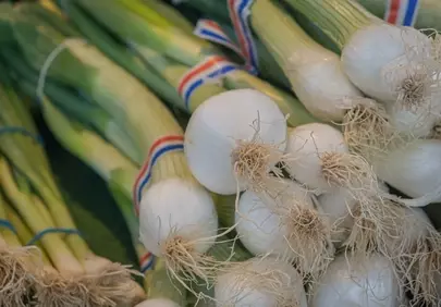 Vibrant Spring Onions: Fresh Harvest for Healthy Living