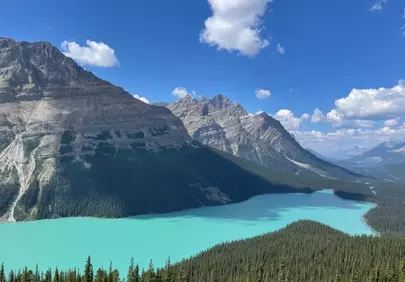 Breathtaking Peyto Lake: Turquoise Gem Amidst Majestic Banff Peaks
